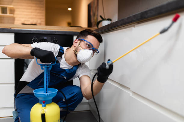 Best Pest Control for Homes  in Hopkins, MN