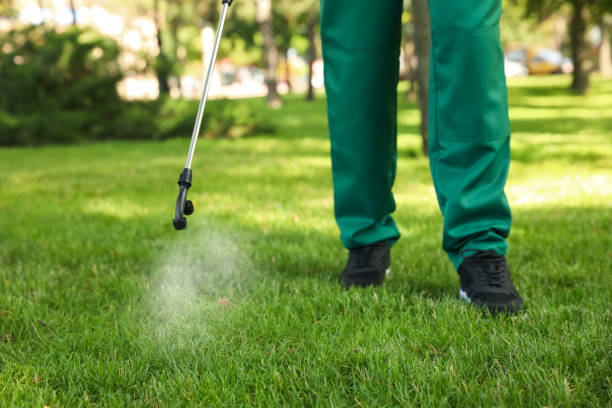 Flea Control Services in Hopkins, MN