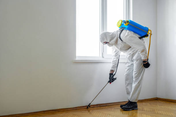 Pest Control Cost in Hopkins, MN