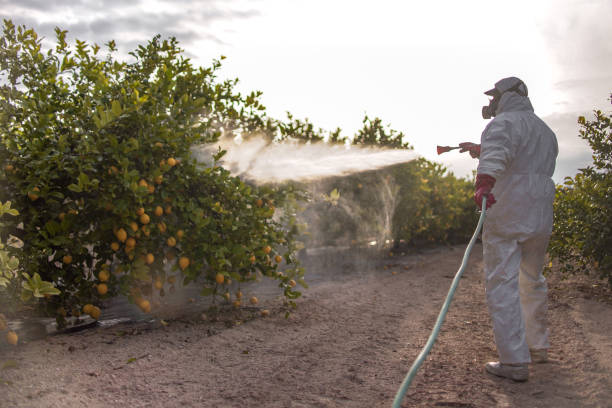 Best Insect Control  in Hopkins, MN