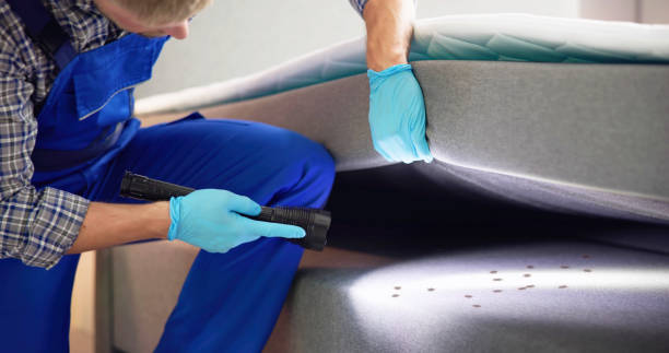 Best Affordable Pest Control Services  in Hopkins, MN