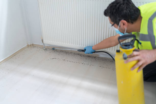 Best Wasp Removal Services  in Hopkins, MN